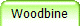 Woodbine